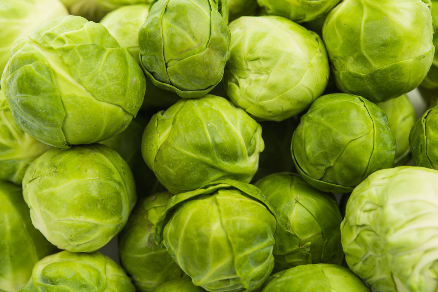 Brussels sprouts D clean crade 5 kilo